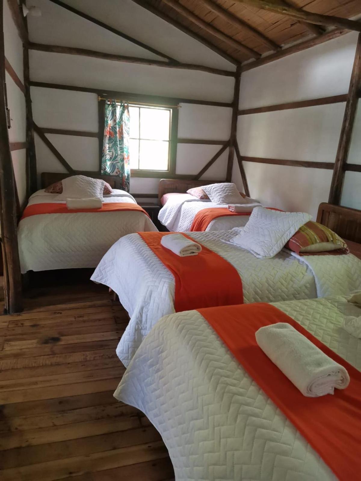 Cabanas Bambu Mindo Extérieur photo